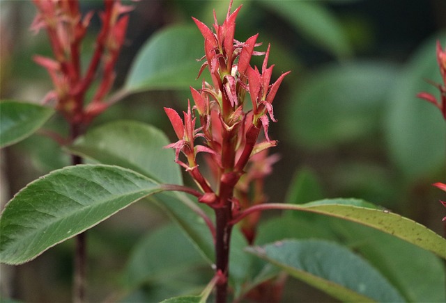 Jak wybrać najlepsze ziarna do parzenia kawy?